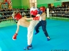 2011-kikbox-04